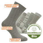 Herren Socken Bio-Baumwolle Streifen Muster beige Apollo - 50
