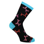 Bunte Damensocken in Bonbon-Schachtel Apollo - 10