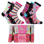 Bunte Damensocken in Bonbon-Schachtel Apollo - 1