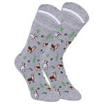Lieblings-Motiv-Socken lustige Alpakas - 14