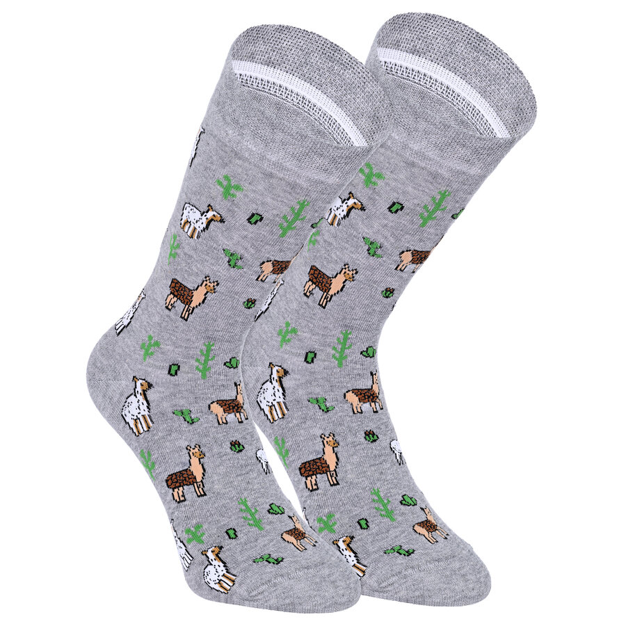 Lieblings-Motiv-Socken lustige Alpakas - 14