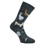Lieblings-Motiv-Socken lustige Alpakas - 22