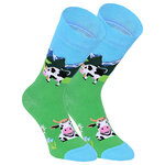 Kühe Motivsocken Crazy Cows Cowboys Cowgirls - 8