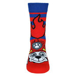 Paw Patrol Kindersocken - 12