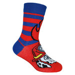 Paw Patrol Kindersocken - 11