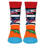 Kindersocken bunte Dinosaurier - 11