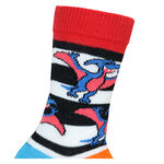 Kindersocken bunte Dinosaurier - 8