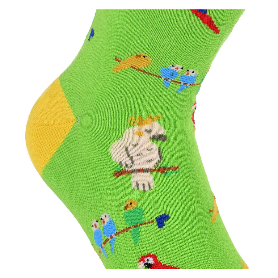 Motivsocken kunterbunte Papageien - 3