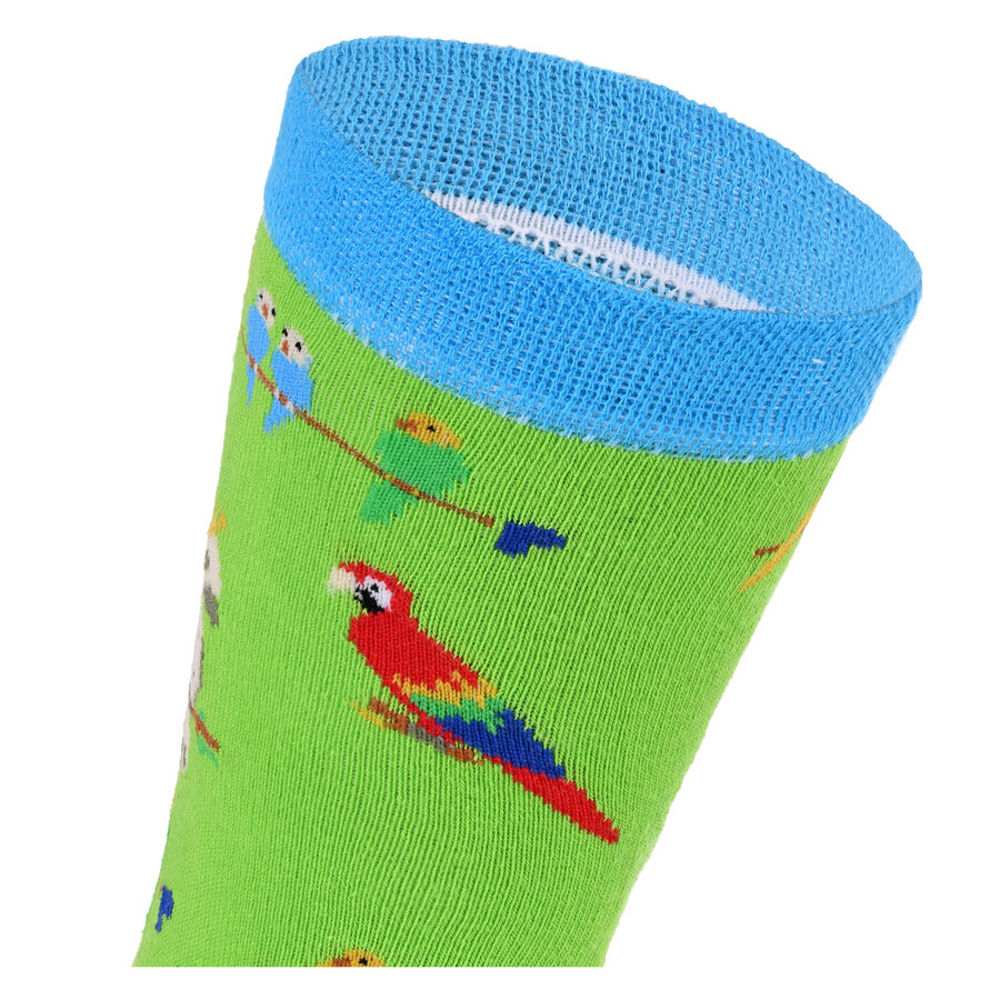 Motivsocken kunterbunte Papageien - 8