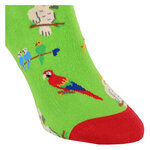 Motivsocken kunterbunte Papageien - 8