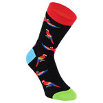 Motivsocken kunterbunte Papageien - 5