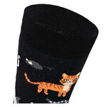 Motivsocken fütter die Katzen - 5