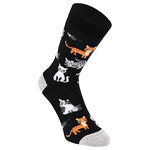 Motivsocken fütter die Katzen - 3