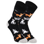 Motivsocken fütter die Katzen - 8