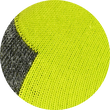 Sport Kurzsocken camano pro tex Function lime-grün